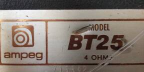 Vends Ampeg Cabinet BT-25