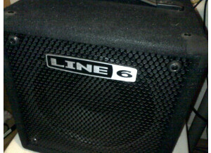 Line 6 LowDown Studio 110 (4267)