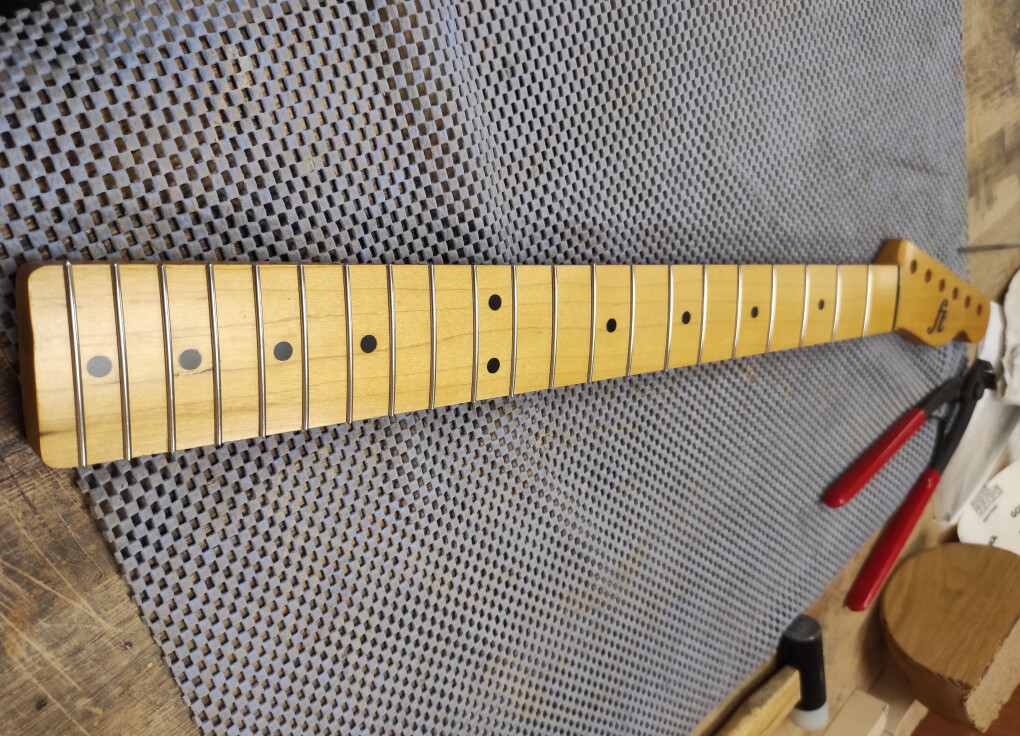 6679411.jpg 6679411.jpg