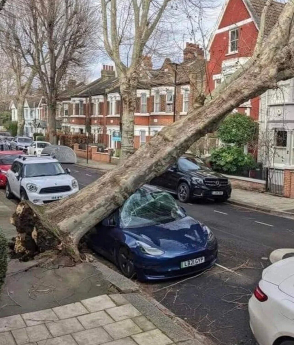 6680395.jpg 6680395.jpg