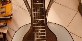 Vends LabSteel Magantone 1950's