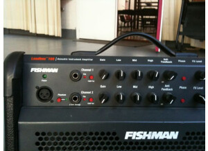 Fishman Loudbox 100 (53404)
