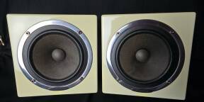 Avantone Mixcubes passives (la paire)