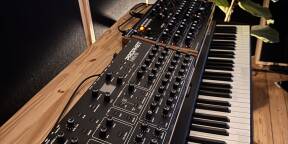 Vend Prophet Rev2 Module 8 voix