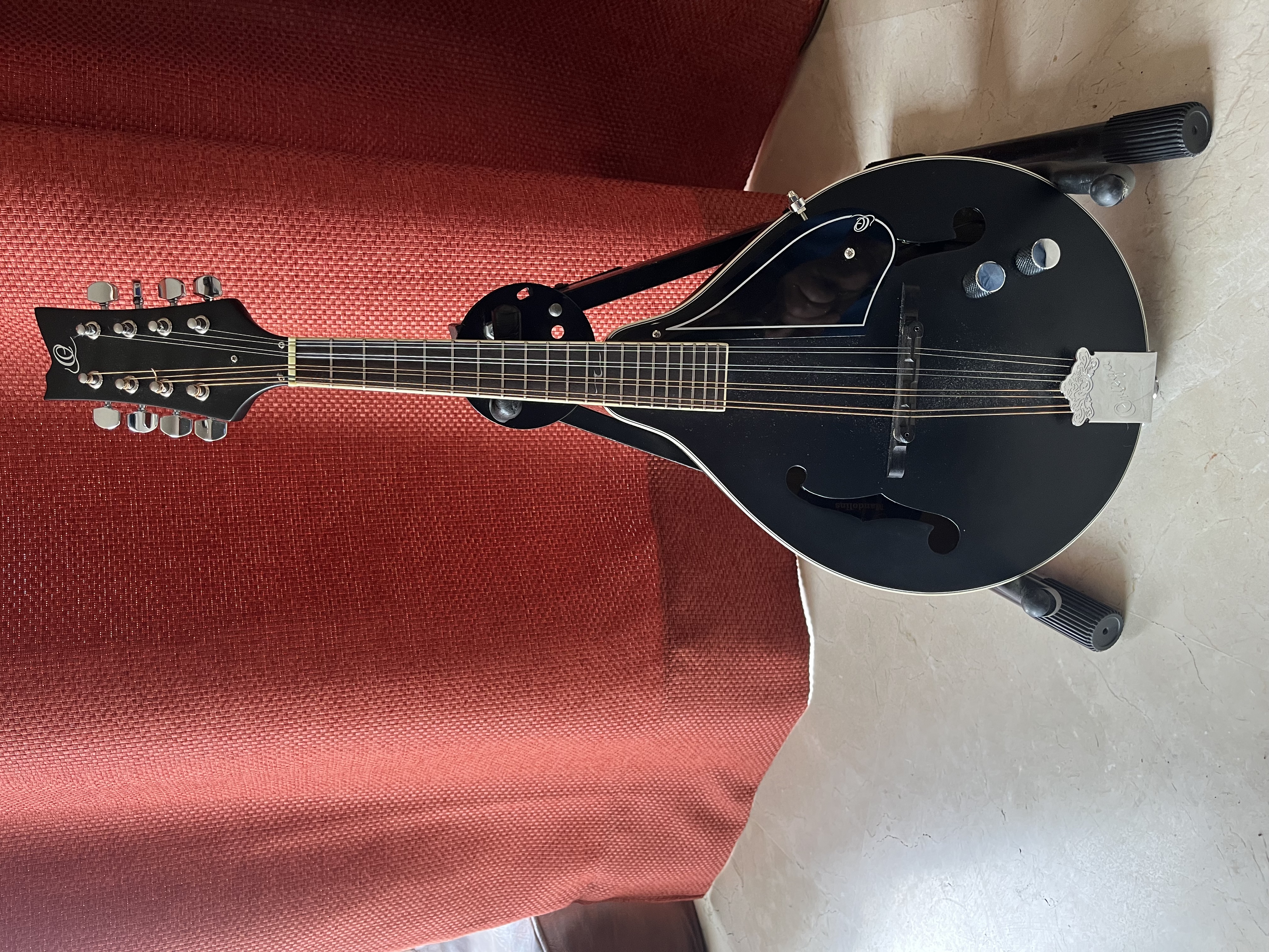 vends Mandoline ORTEGA  electro acoustique