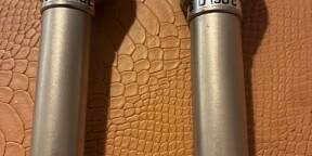 Vend paire de micro VINTAGE D190C AKG