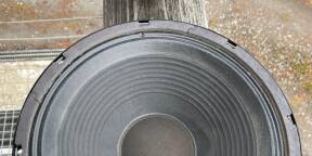 Paire de Hauts Parleurs Guitare 12 Pouces Ceramic