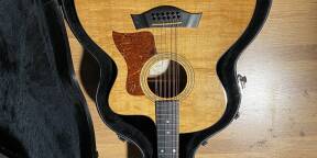 Vends Guitare acoustique 12 cordes Taylor 355ce