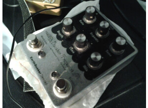 EarthQuaker Devices Disaster Transport (36909)