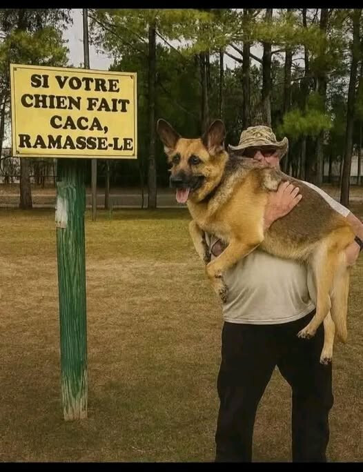 6684394.jpg 6684394.jpg