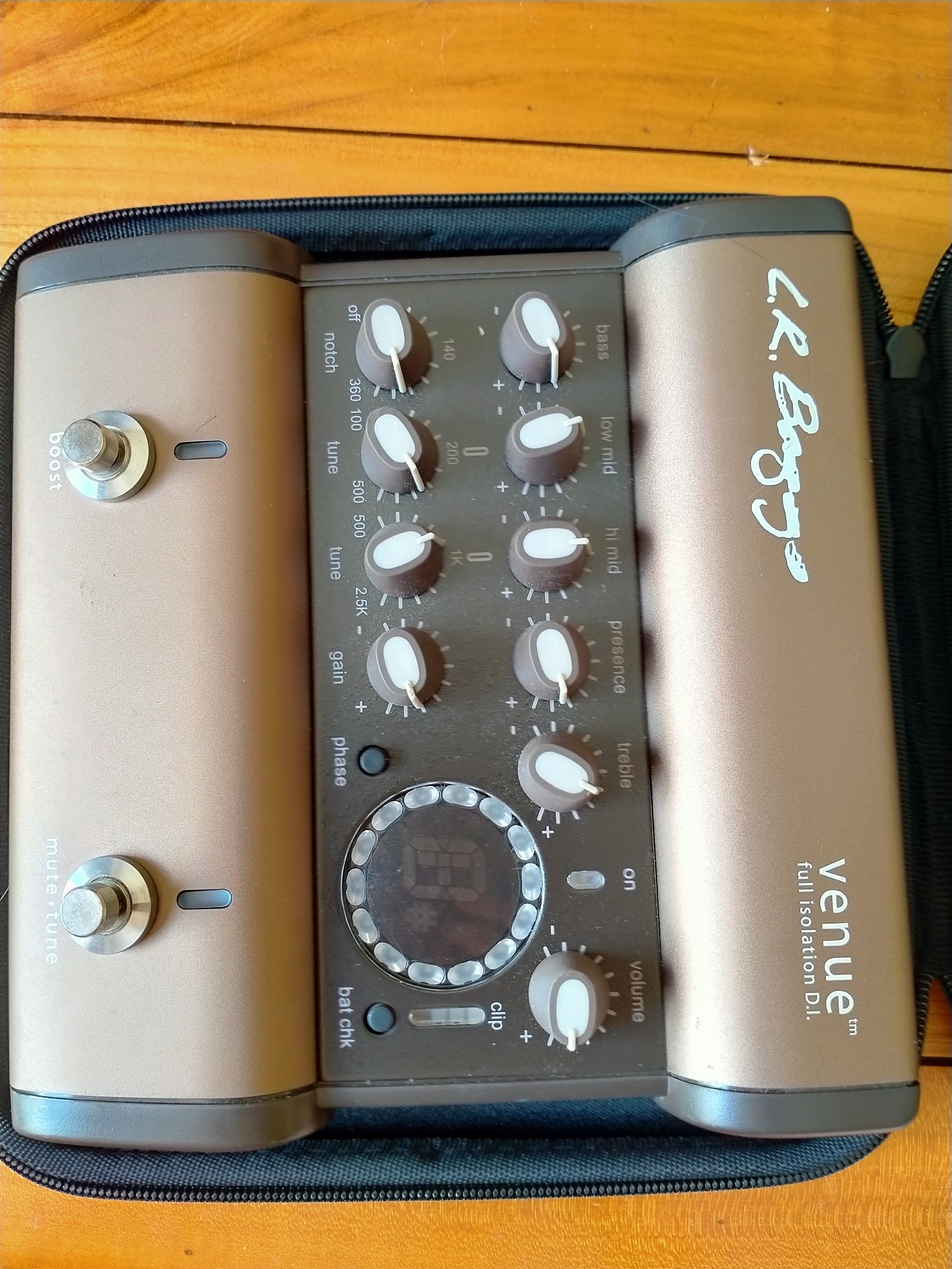 Vds L.R. Baggs Venue DI