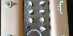 Vds L.R. Baggs Venue DI