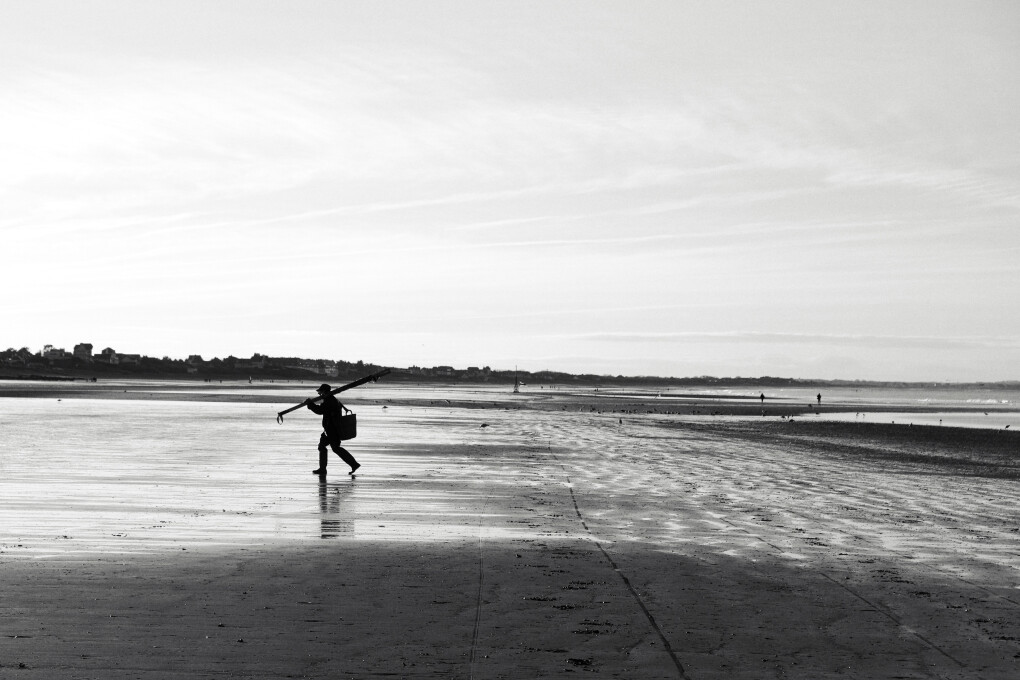 6684408.jpeg 6684408.jpeg