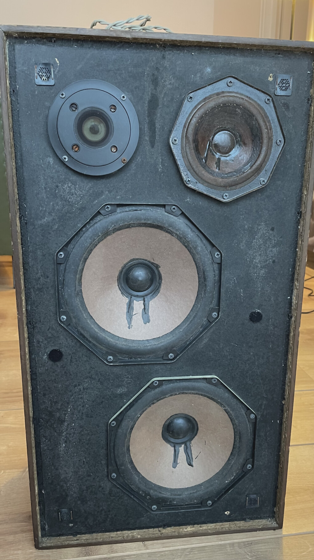 6684431.jpg 6684431.jpg