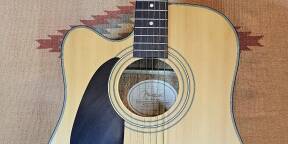 Guitare electro-acoustique Fender DG-10CE gaucher + housse + stand + divers