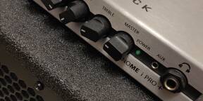 Warwick Gnome i Pro + Baffle