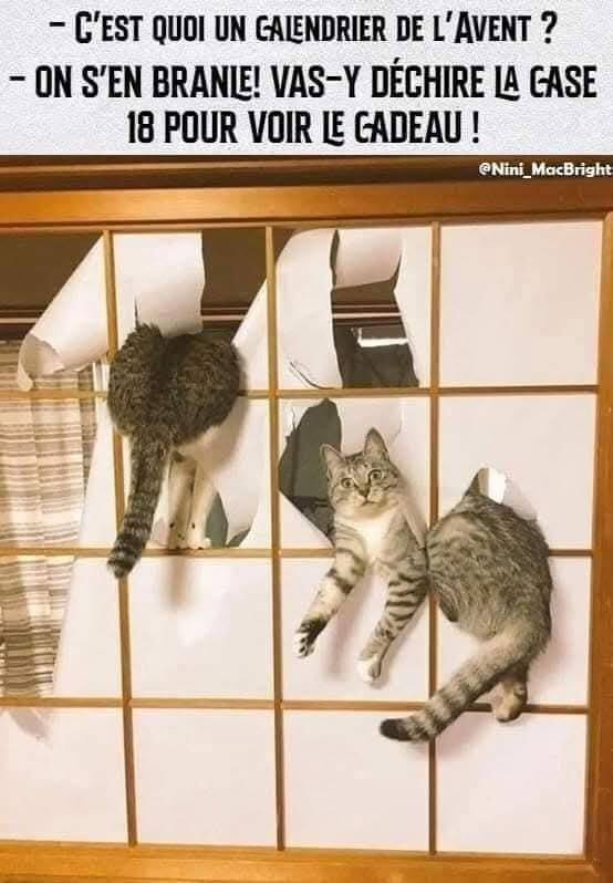 6685066.jpg 6685066.jpg