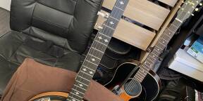 Banjo gold tone cc100rw echange possible