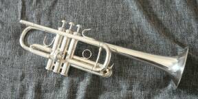 BACH 239 ML. UT et SiB