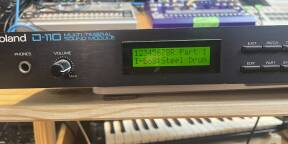 Roland D110