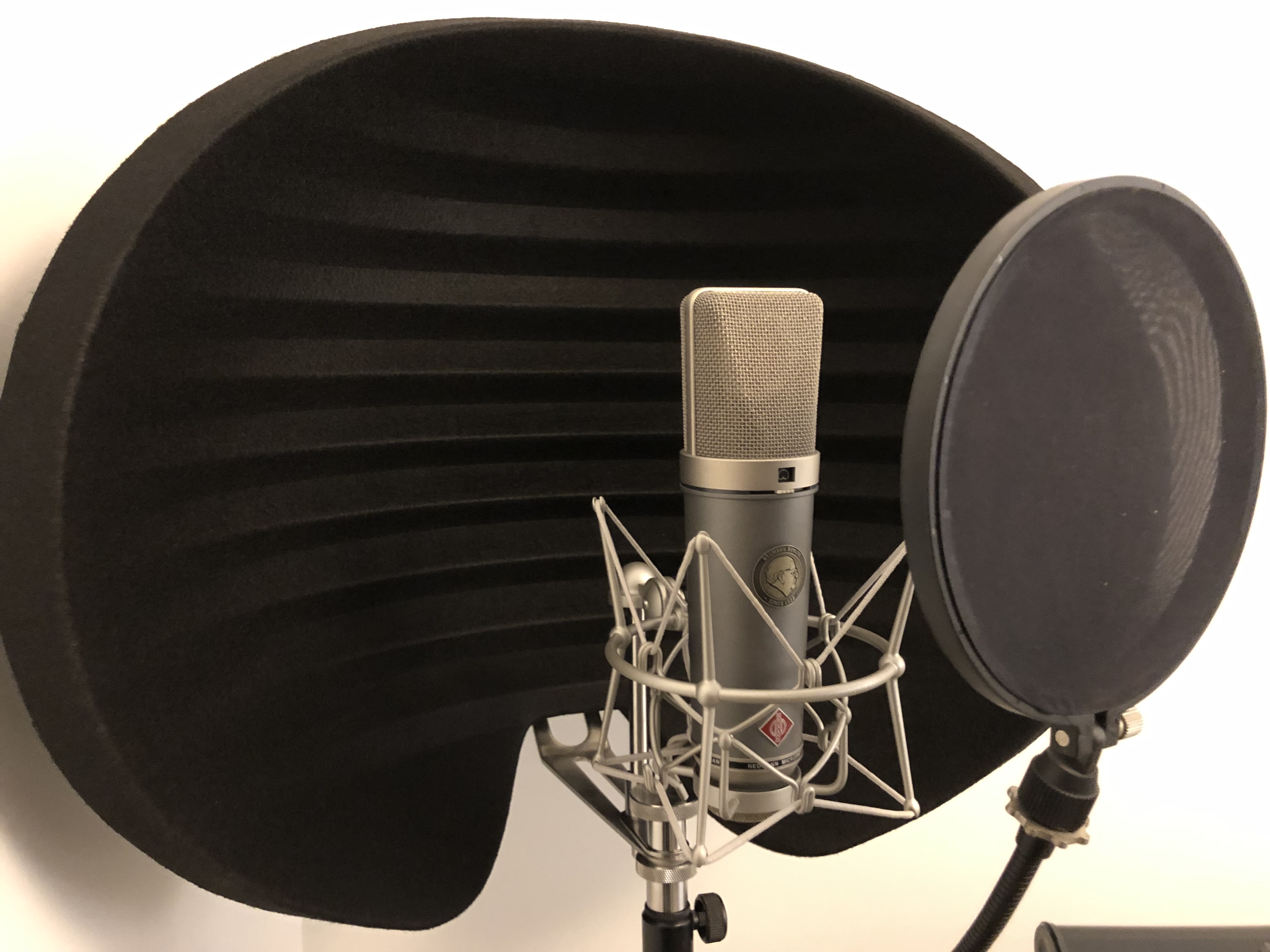 Microphone Neumann TLM67 + suspension Neumann EA87