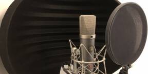 Microphone Neumann TLM67 + suspension Neumann EA87