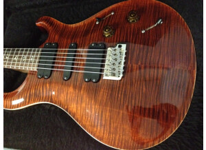 PRS 513 Maple Top - Tortoise Shell (49373)