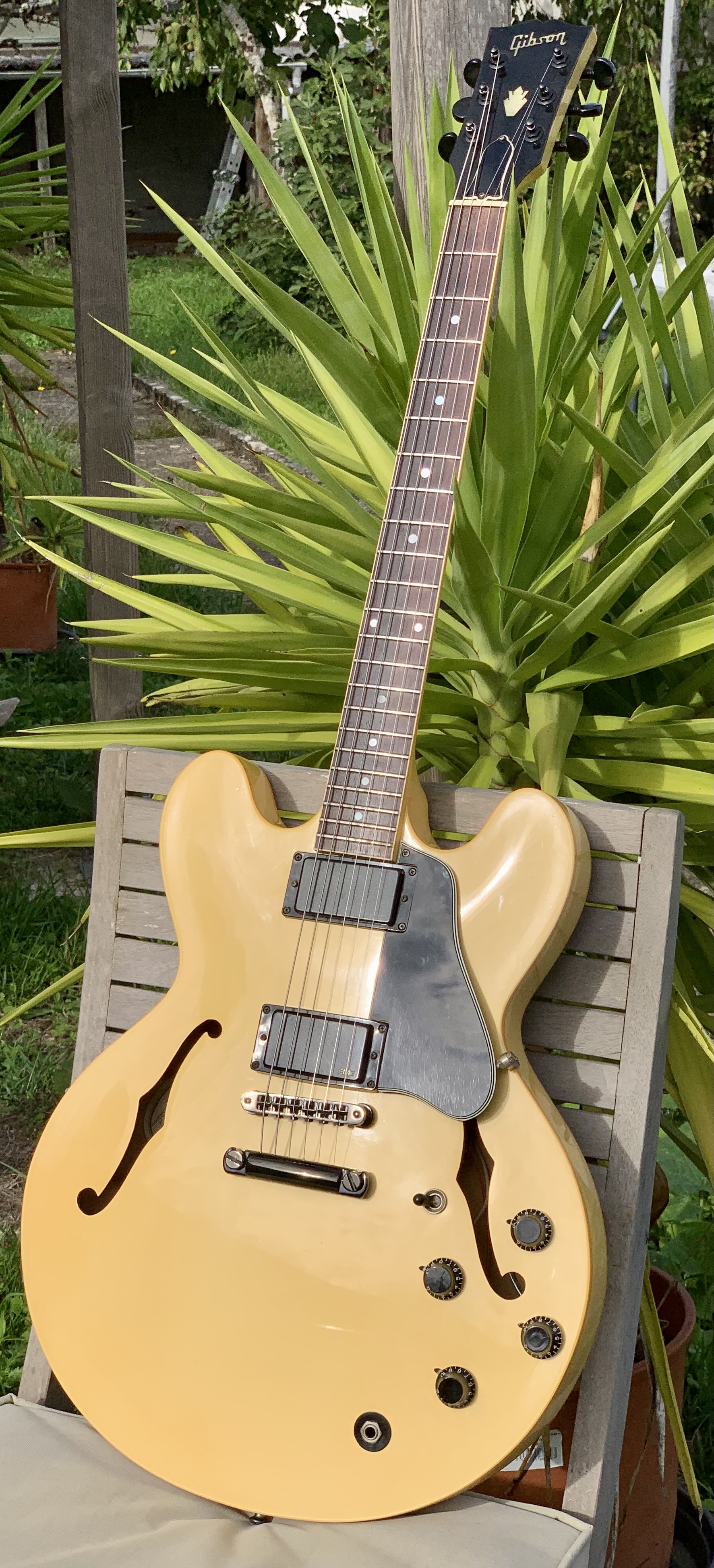 GIBSON ES-335 Showcase Édition 1988 