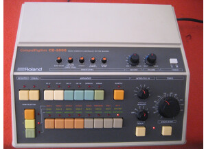 Roland CR-5000 (78408)