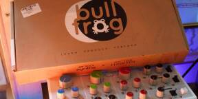 Erica Synth BULLFROG avec cartes additionnelles ⚠️ STOP AFFAIRE PRIX CASSE