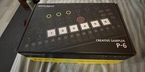 P-6 + sac de transport