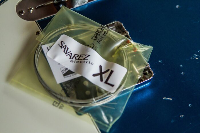 SavarezFocus-4 SavarezFocus-4