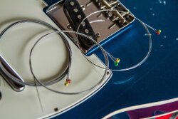 SavarezFocus-5 SavarezFocus-5