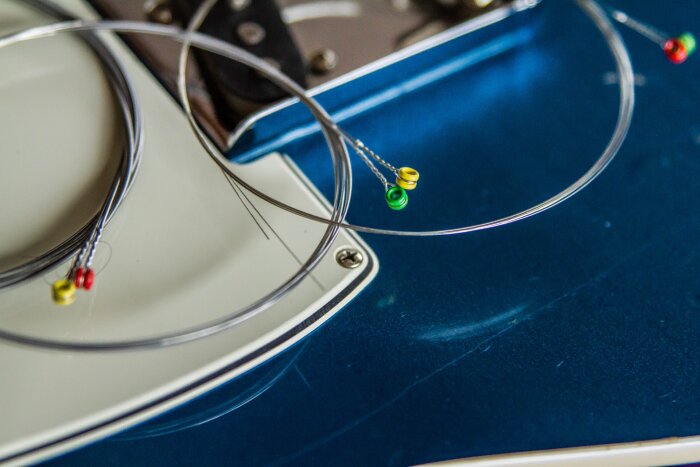 SavarezFocus-6 SavarezFocus-6