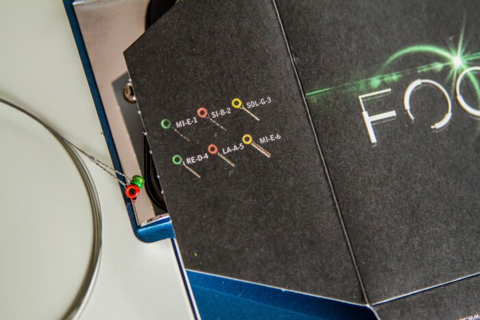 SavarezFocus-9 SavarezFocus-9