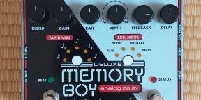 (VDS) Electro-Harmonix Deluxe Memory Boy