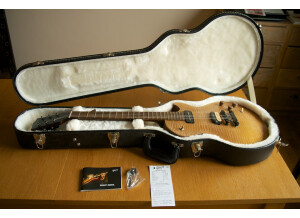 Gibson Les Paul BFG (93119)