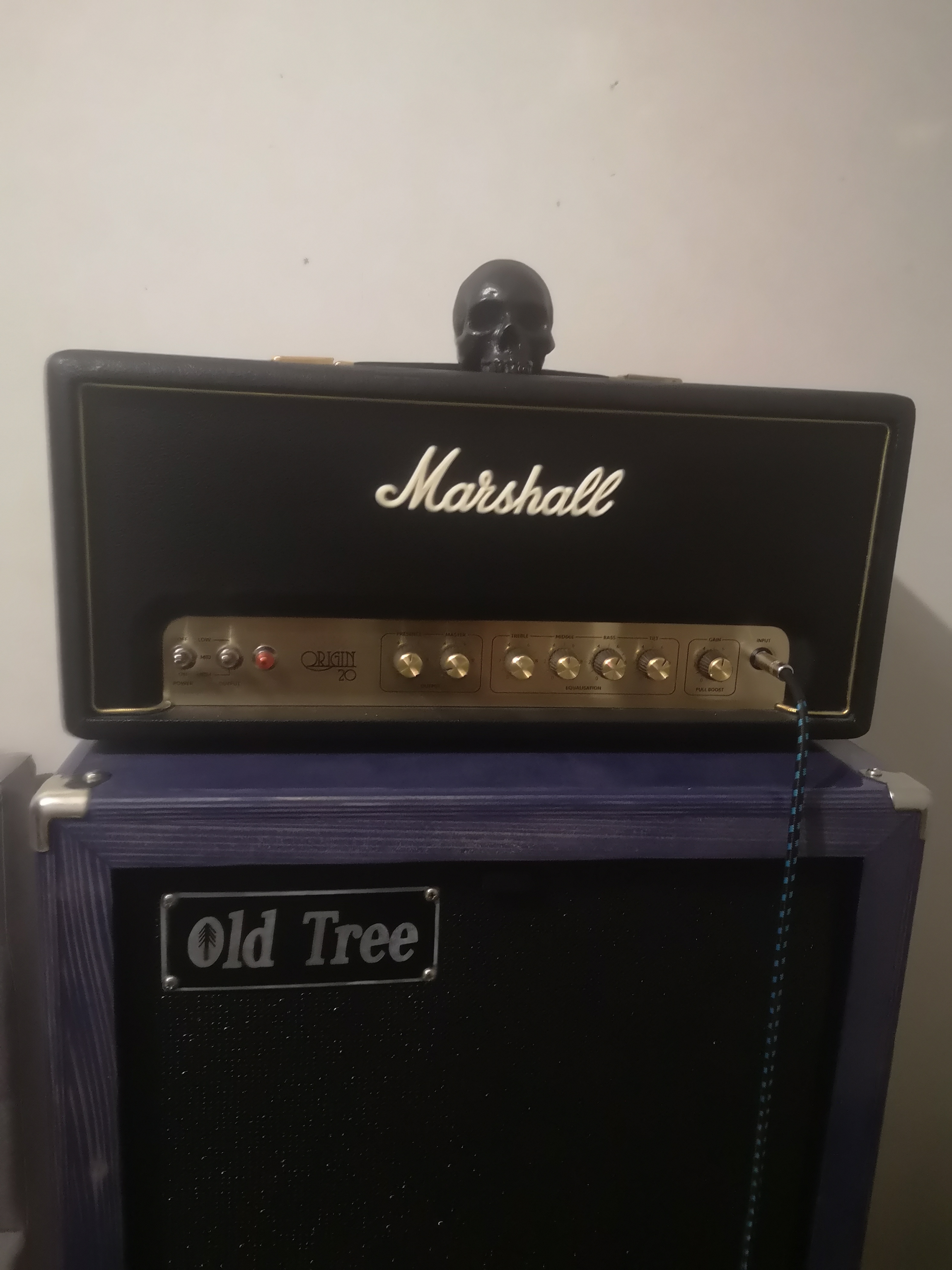 Marshall origin 20 head 