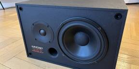 Vends une enceinte passive Auratone T6V