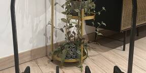 Vends stand k&m guardian