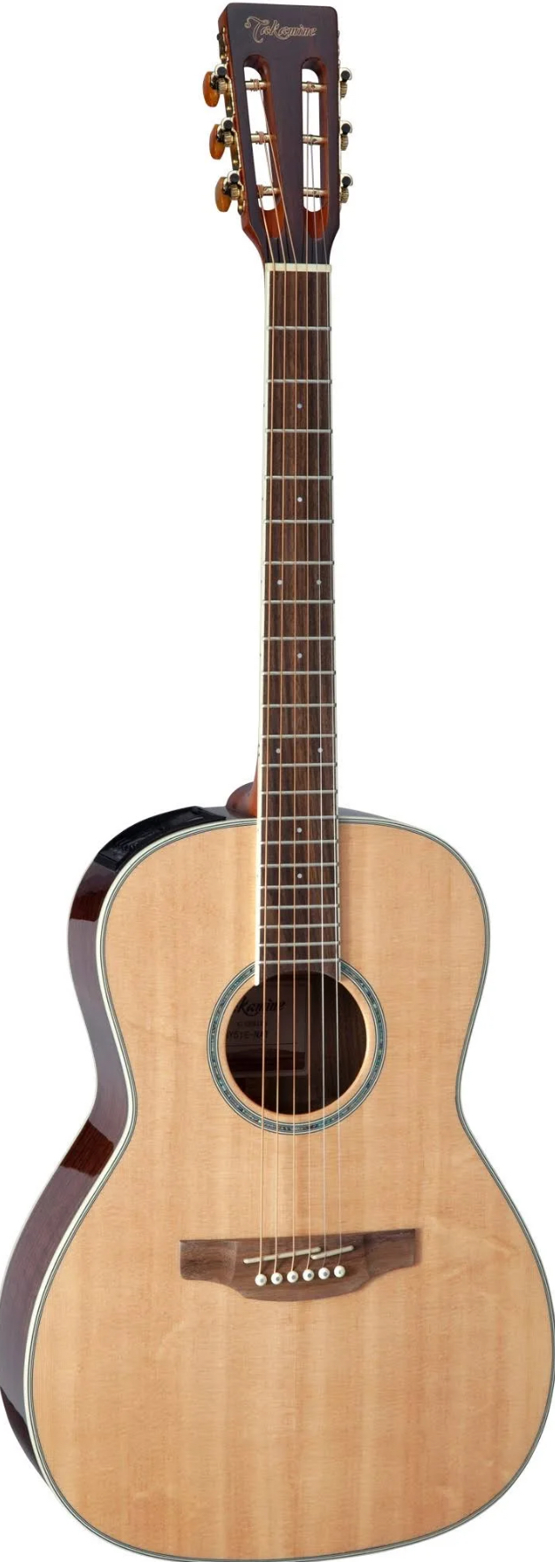 Vends Takamine New Yorker GY51E