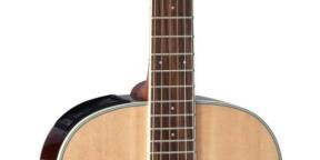 Vends Takamine New Yorker GY51E