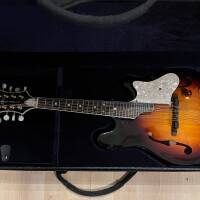 Vends mandoline electrique FM-62SE Fender
