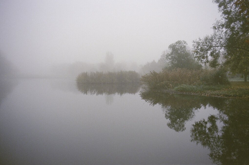 6692398.jpeg 6692398.jpeg