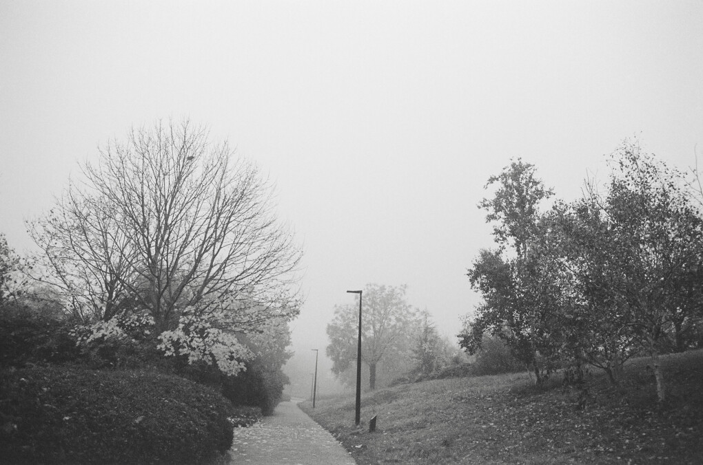 6692403.jpeg 6692403.jpeg