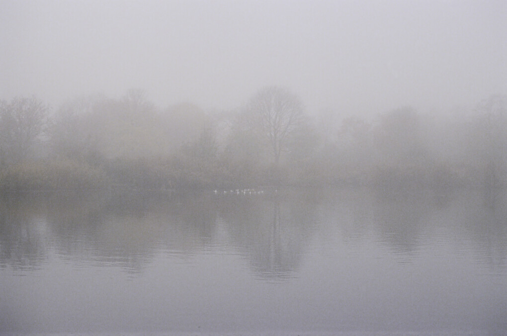 6692409.jpeg 6692409.jpeg