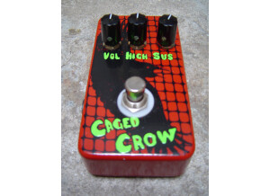Flickinger Tone Boxes Caged Crow