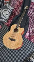 Peavey Aberdeen Bass
