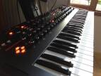 Dave Smith Instruments Prophet 12