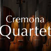 Vends Native Instruments Cremona Quartet